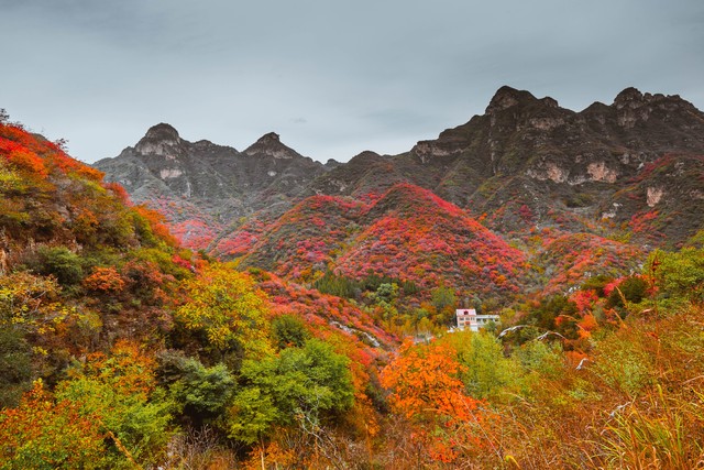 每日老三篇12.26，做一个坚持不懈的践行者。