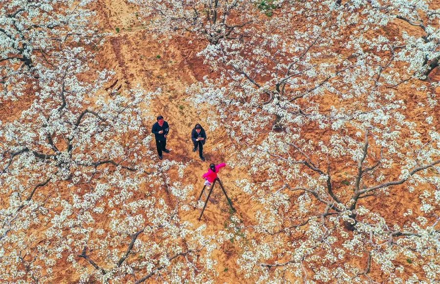 非凡十年看德州,非凡十年纪录片