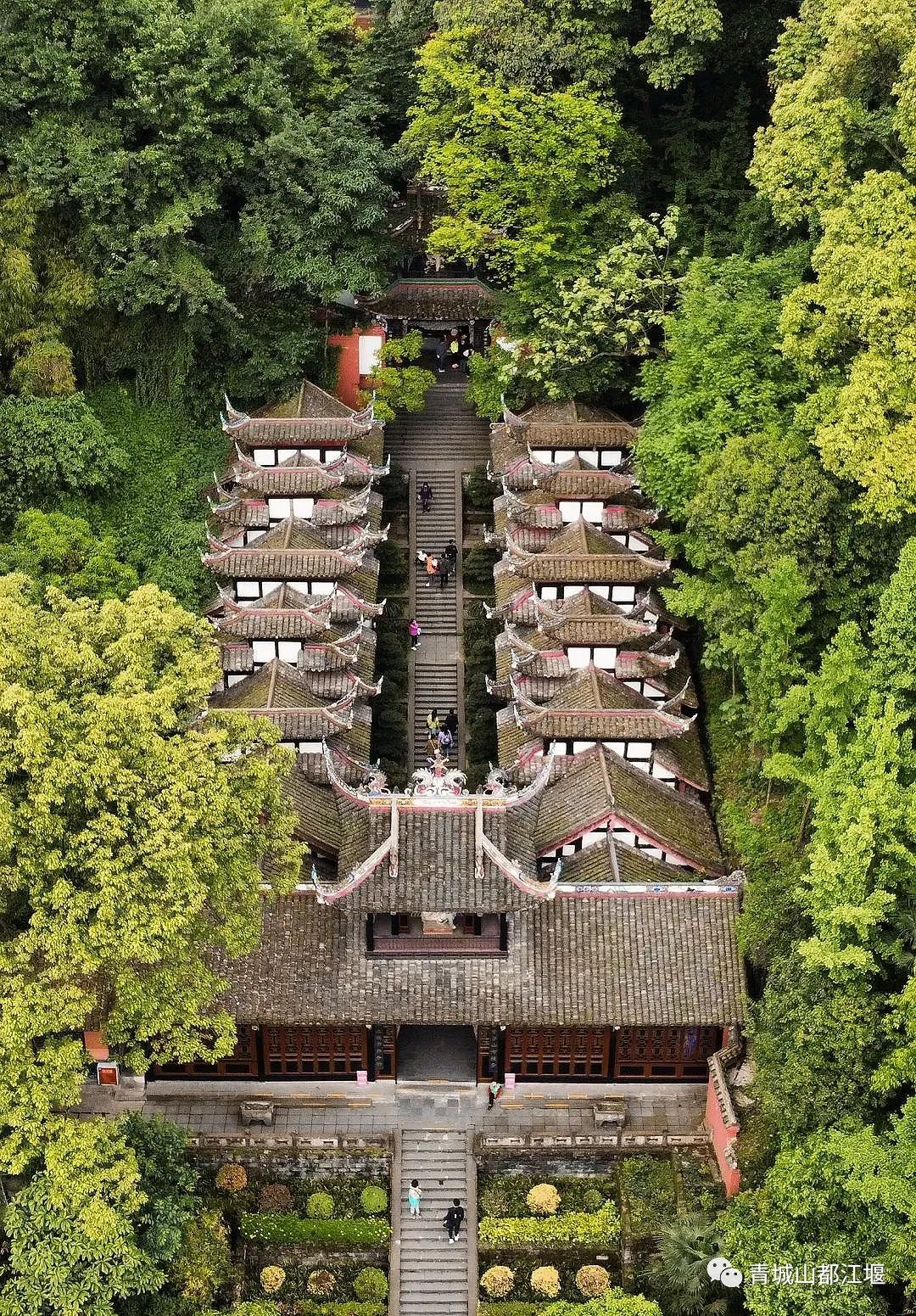 抓住秋天的尾巴！都江堰必打卡的8大晚秋好去处，步青山观烟岚云岫、入古城拾千年烟火，来过都会爱上