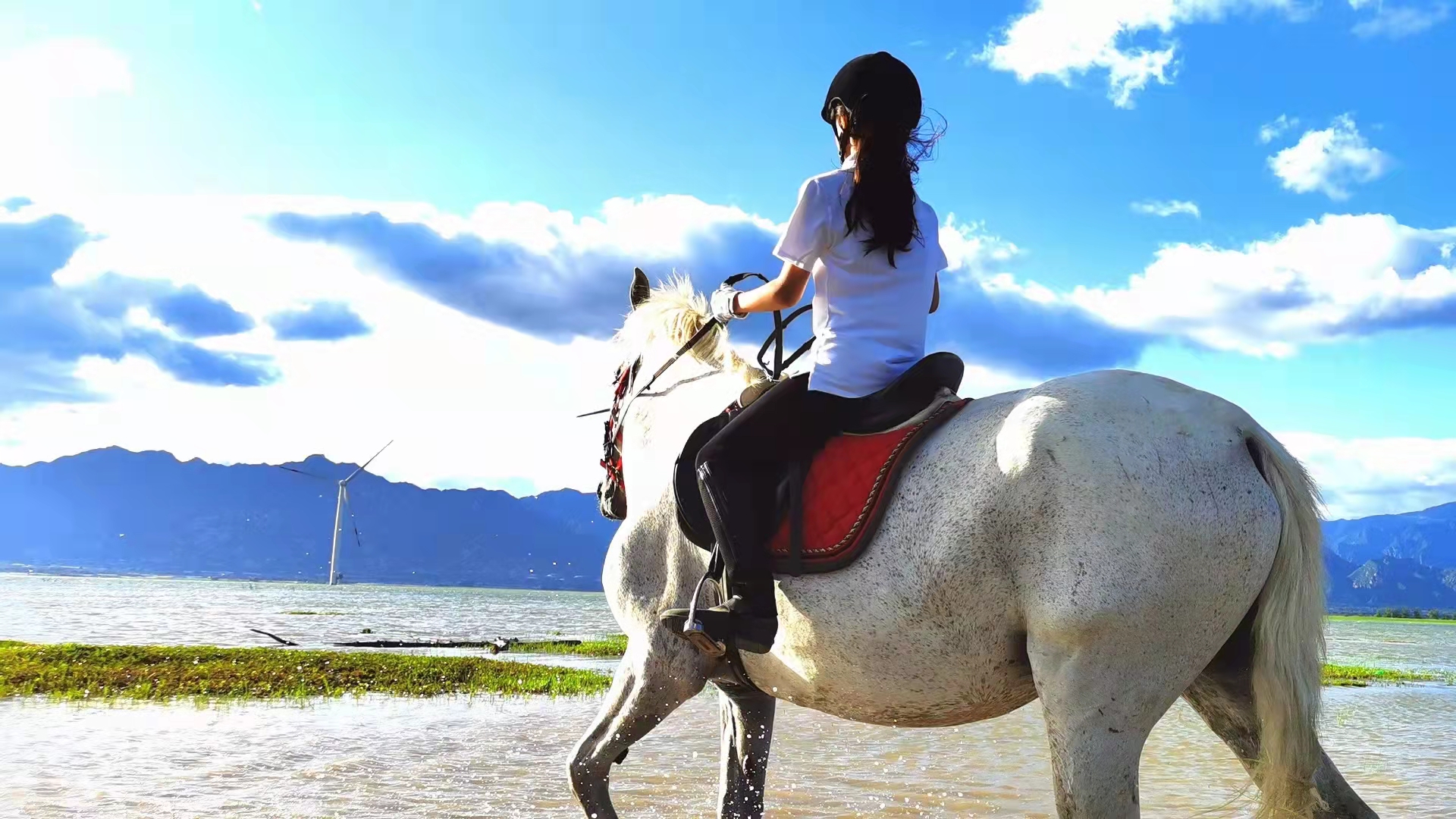 2023华杯赛夏令营,华誉外交官夏令营