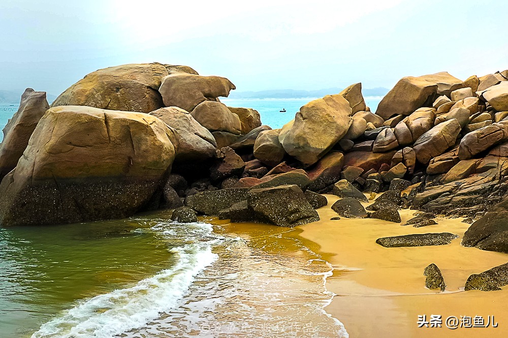 福建蓝眼泪奇观游玩攻略,福建蓝眼泪是哪个旅游景点