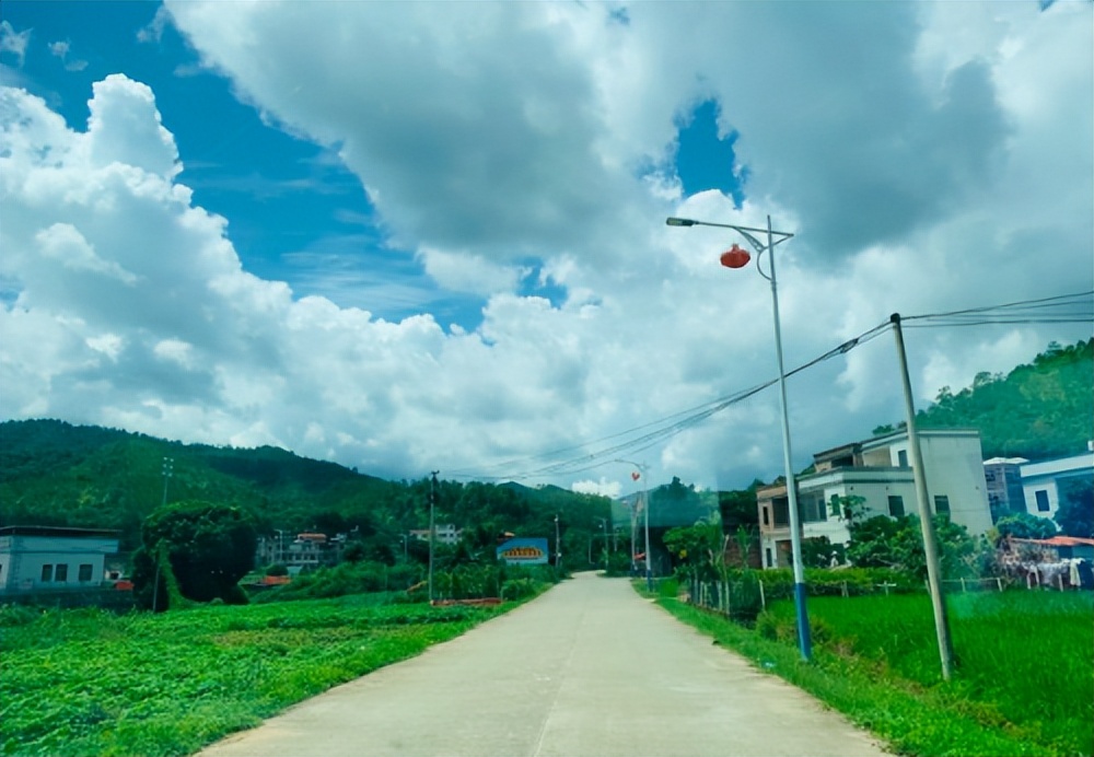 我的大柴切，居家旅行都能胜任