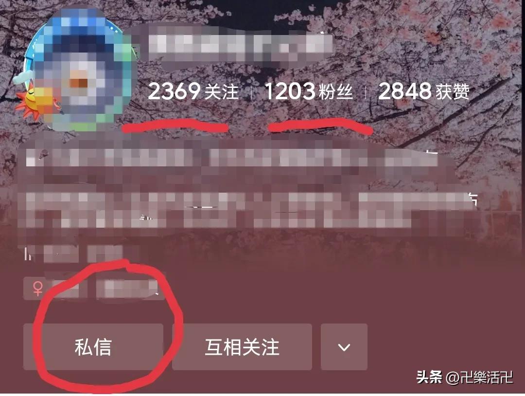 头条小白新手入门教程,头条新手小白注意事项