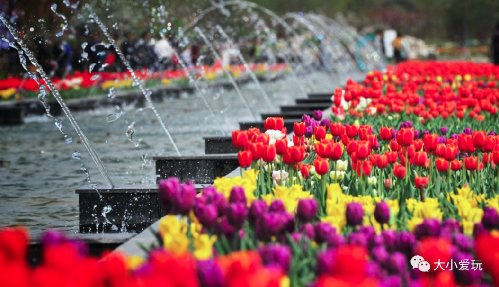 适合三天两夜的自驾亲子旅游胜地 (6条不同的游览路线供游客自由选)