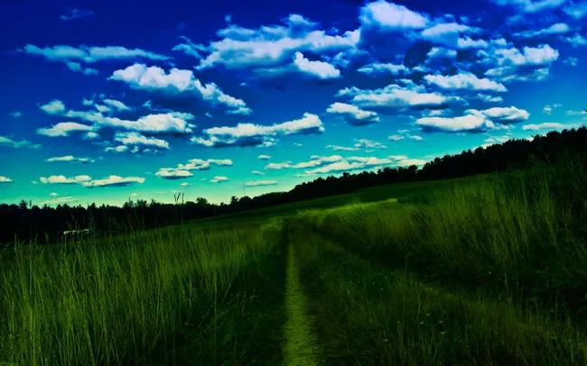 绿草自然风景图片,惊艳高清山水花草风景图片