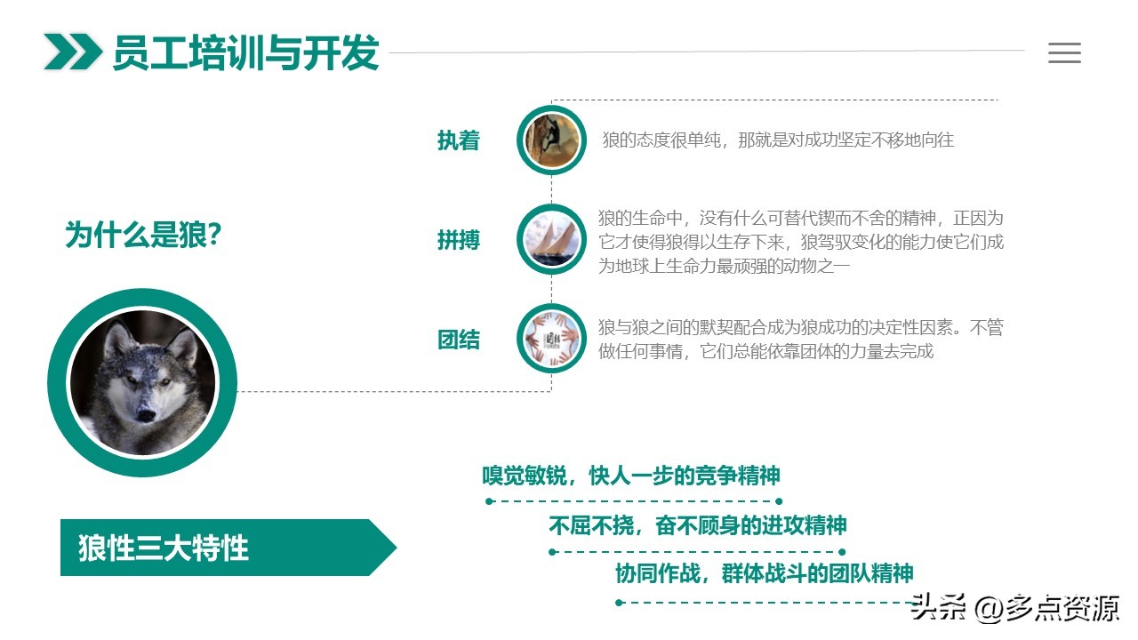 人力资源年度工作总结ppt,人力资源培训工作总结ppt
