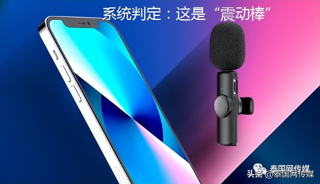 娉板浗鏂板瀷璇堥獥楠楀眬,娉板浗娓呰繄缃戣喘璇堥獥琚姄