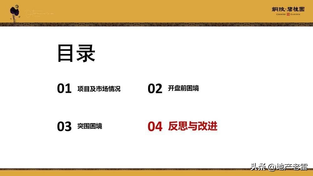 碧桂园房地产竞品分析,碧桂园房地产价格策略