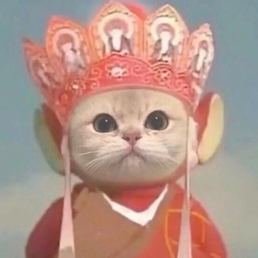 WeChat可爱头像,wechat可爱头像情侣