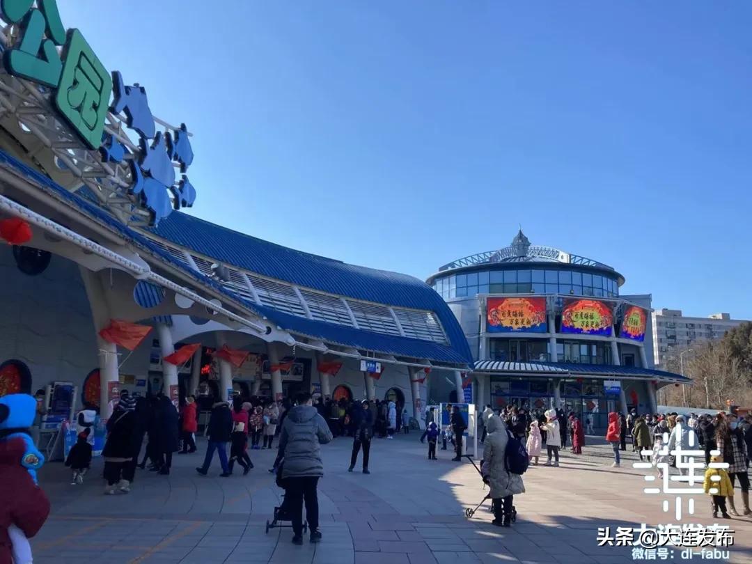 7天7.48亿，↑54.55%！