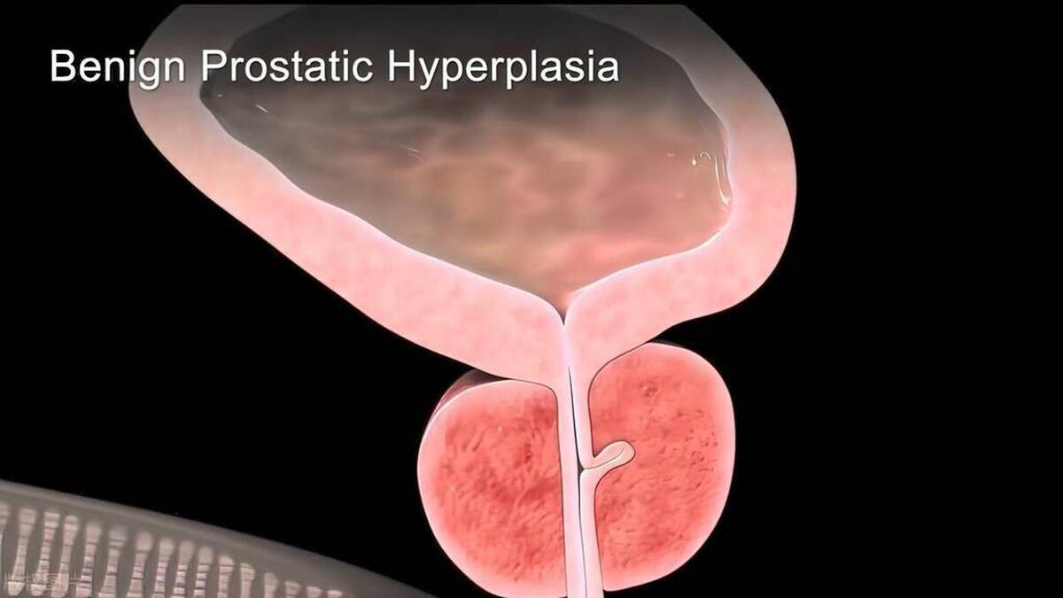 蛋蛋的大小,对男性的生育功能有影响吗?正常的标准是多少?