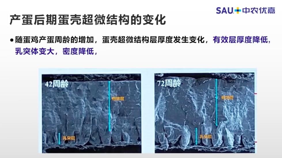 中农优嘉饲料好在哪方面,中农优嘉预混料质量怎么样