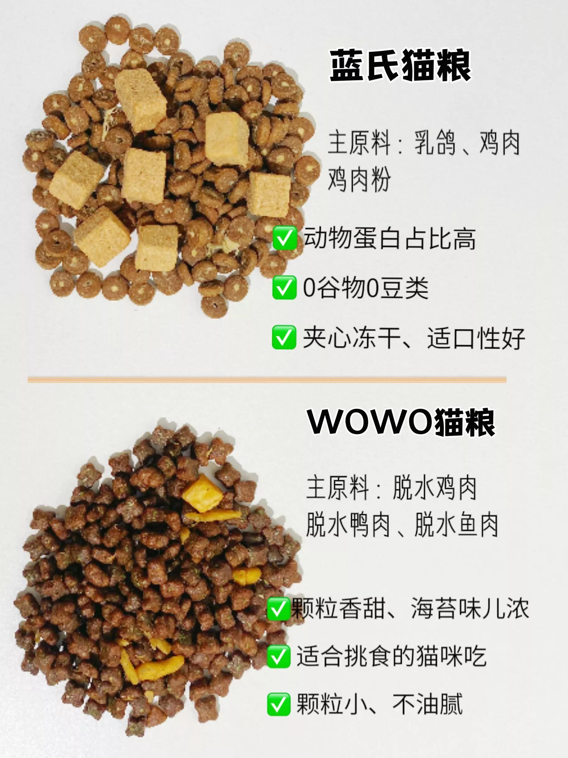 8-9个月的猫猫粮推荐,8款优质进口猫粮推荐