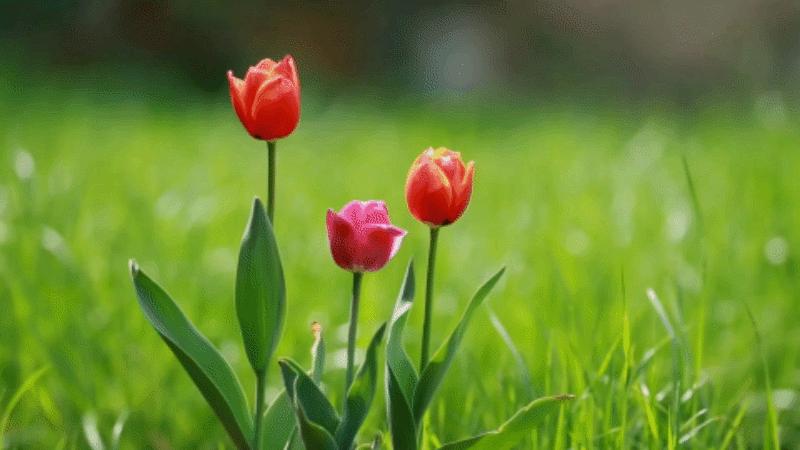 人生就是一场历练与感悟,人生就是一种感受一种历练