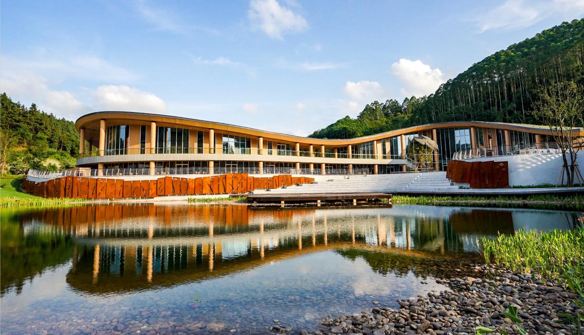 荣获奖项的喜报,棕榈奖名单曝光