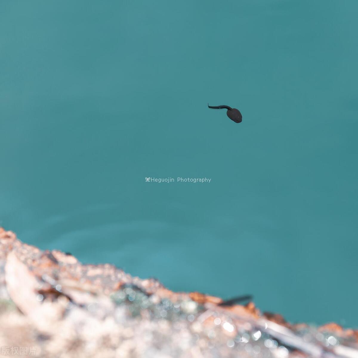 童年的经典影视剧有哪些,童年回忆杀动画