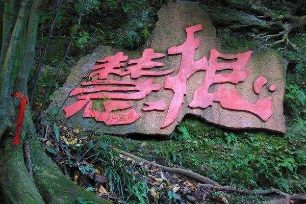 新商业赚钱36计之五,新商业赚钱36计