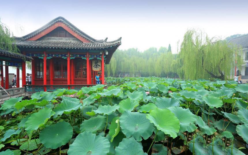 济南值得推荐的休闲好去处,济南都有啥好地方