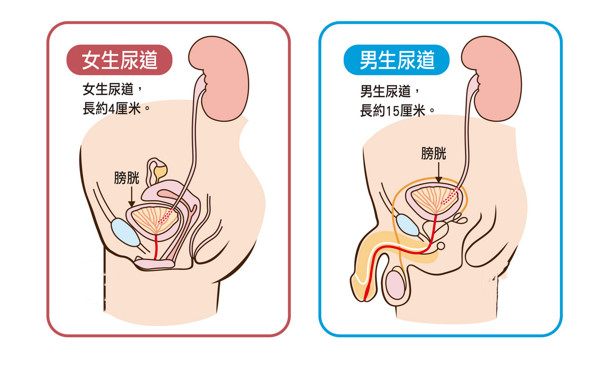 美国马桶前面有个缺口,美国的马桶为什么会设计一个缺口