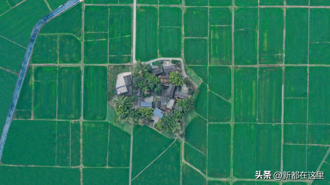 圆满落幕完整视频,圆满结束顺利闭幕