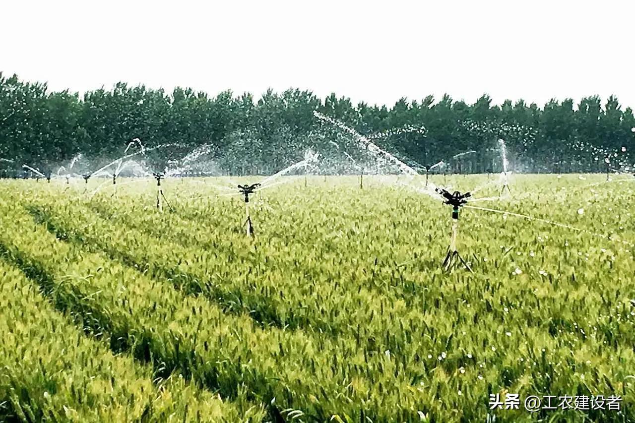 酵素叶面肥,酵素肥的正确使用方法