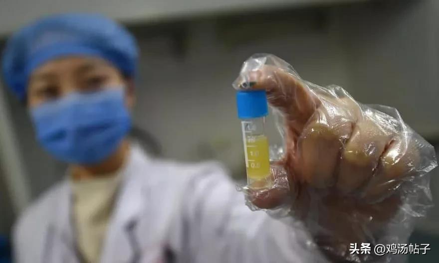 捐精志愿者：取精室不是很色情，半年捐8-10次，1ml领50元补贴