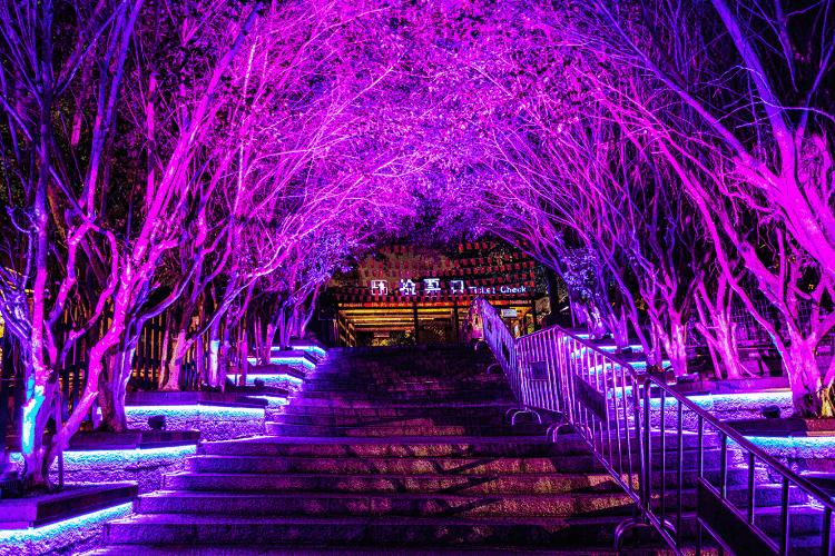 秋天大家都爱买什么网红产品,秋天厦门