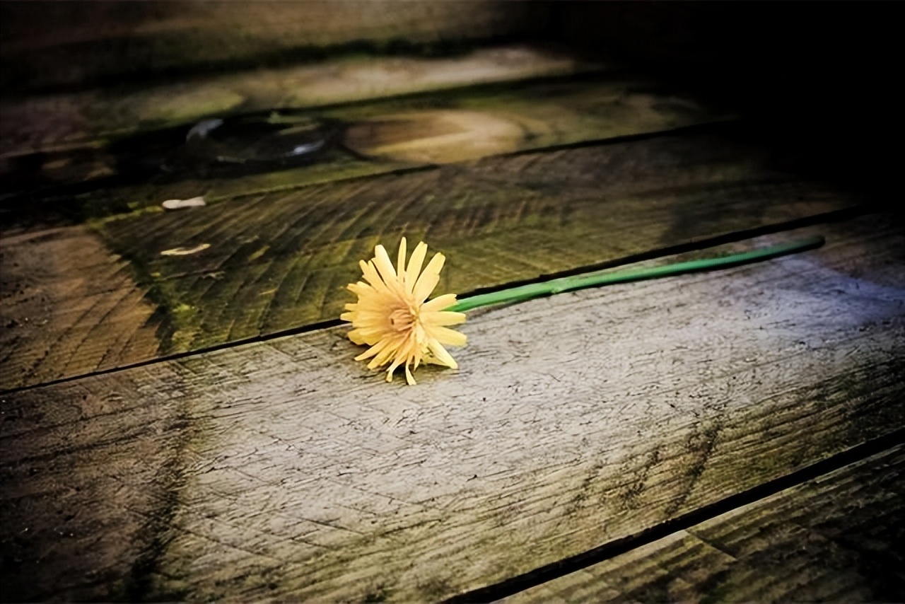 同学群有的人一言不发又不退群,为啥同学群有人从不说话却不退群