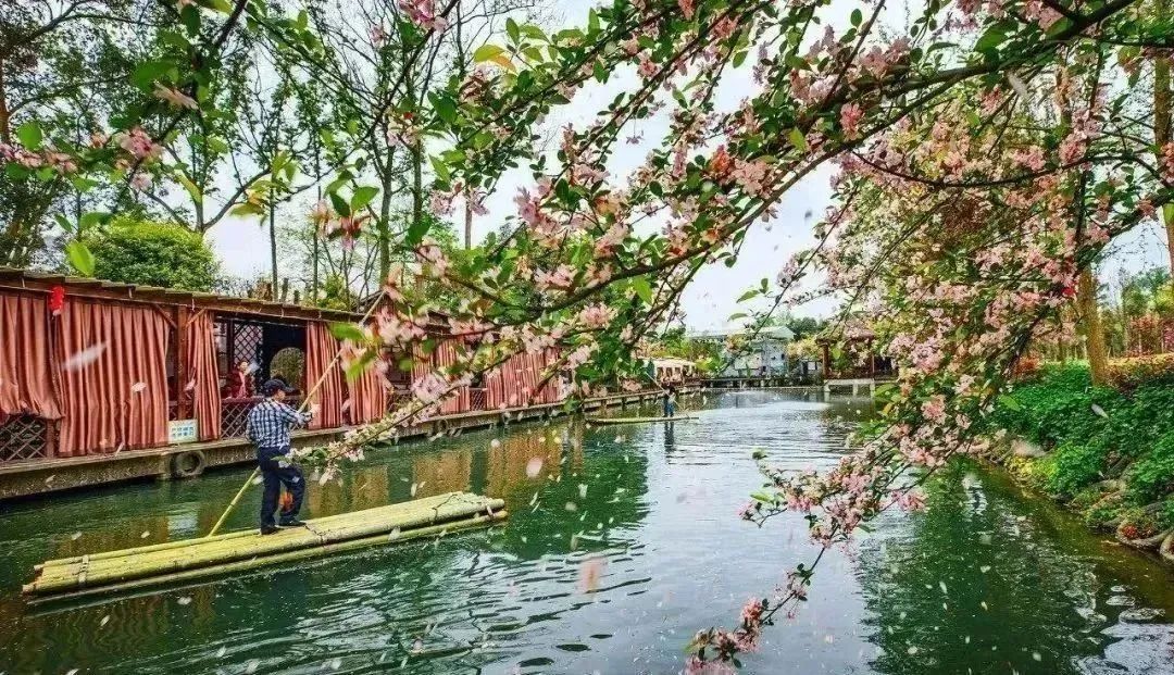 音乐、美食、优惠券~3月18日,一起进入郫都的花花世界吧!