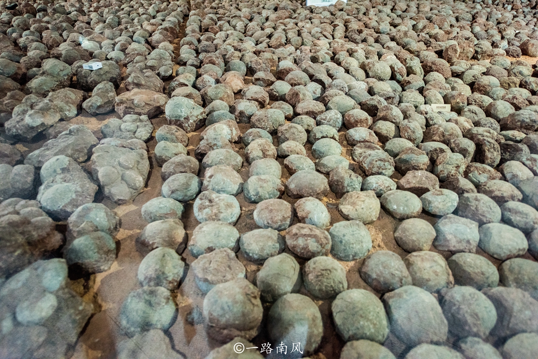 广东河源高铁经过哪些城市,广东河源通高铁