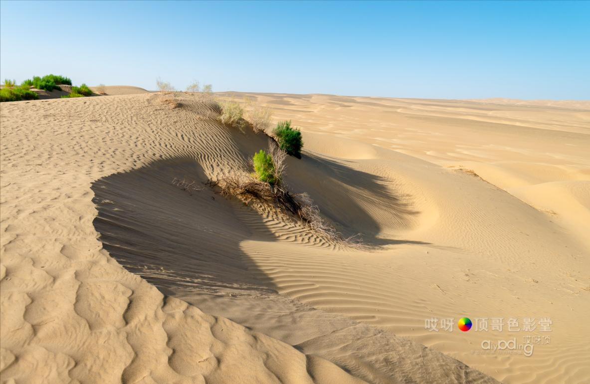 女司机带娃去新疆自驾游,带着女司机自驾游兰州