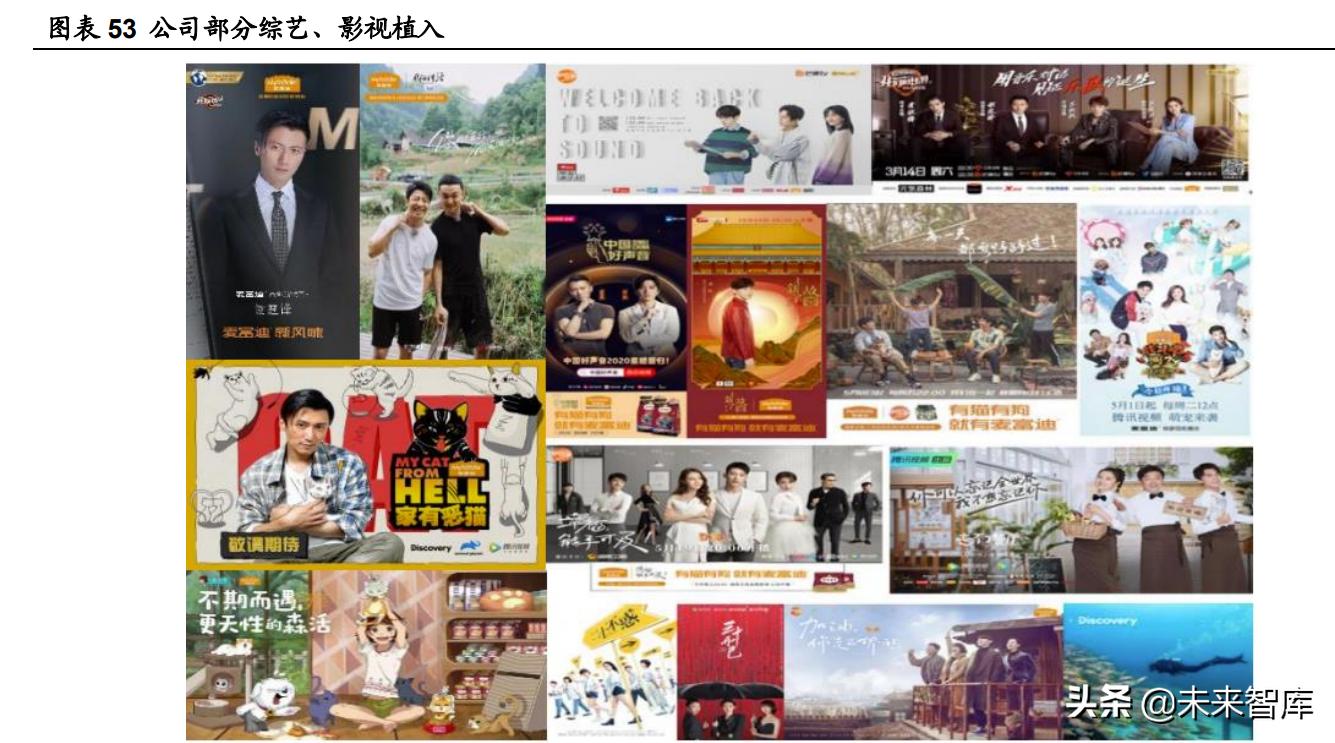 宠物食品的报告,宠物食品调查报告