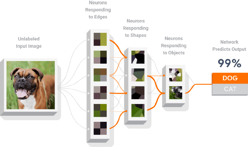 机器之心是什么,《机器之心》