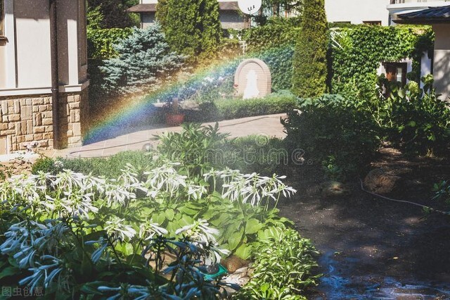 豪门保姆丽芳第310集简介,她做保姆这些年之豪门生活完整版