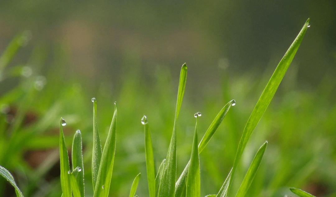 口干舌燥阴虚津液亏损经方,中医阴虚怎么导致口干舌燥