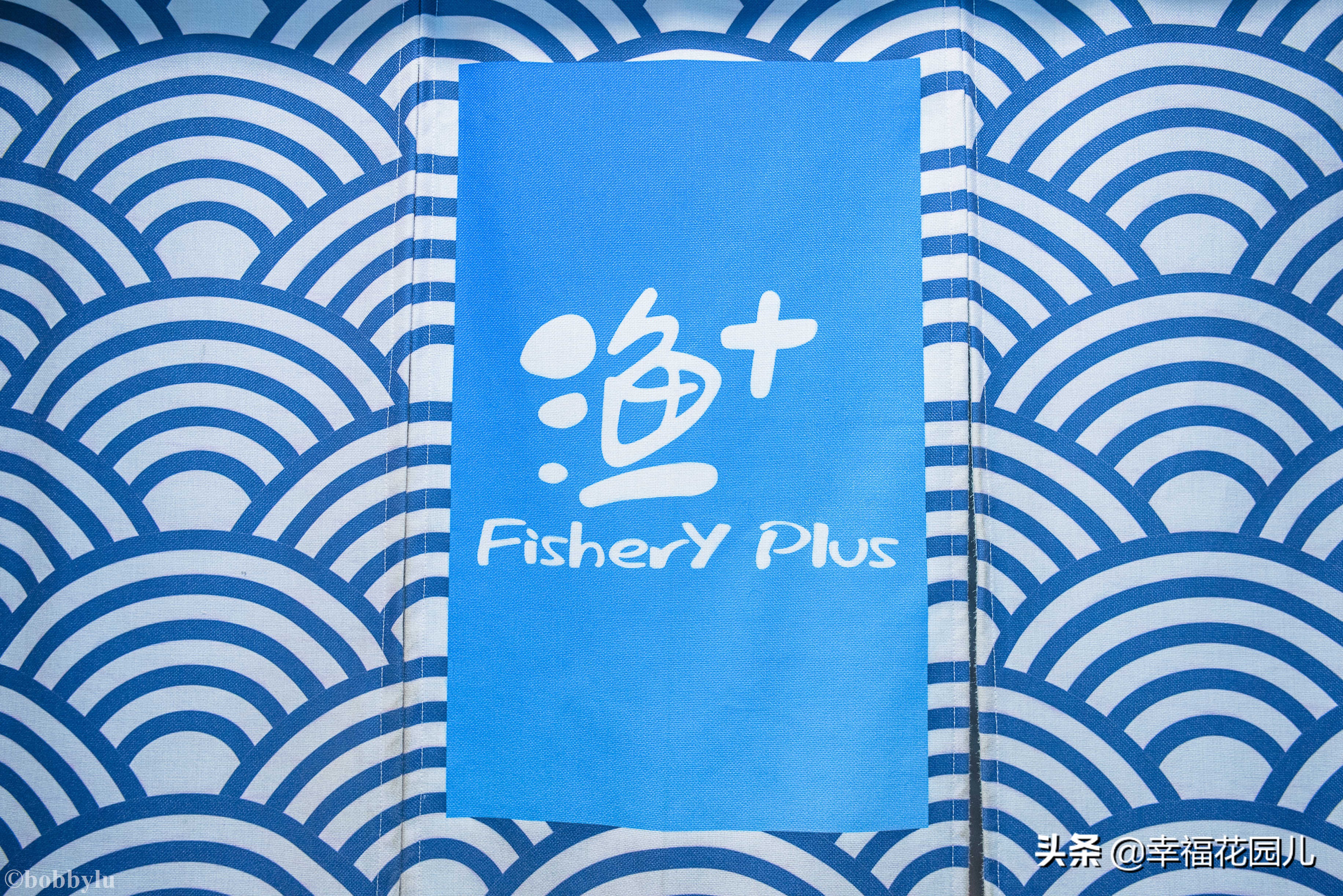 美味河豚有多金贵？养殖就有多娇贵！十里海河豚小镇探秘美食之源