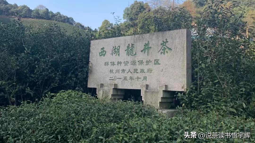 1.2亿！假冒西湖龙井被查，你买到的西湖龙井有多少是真的？