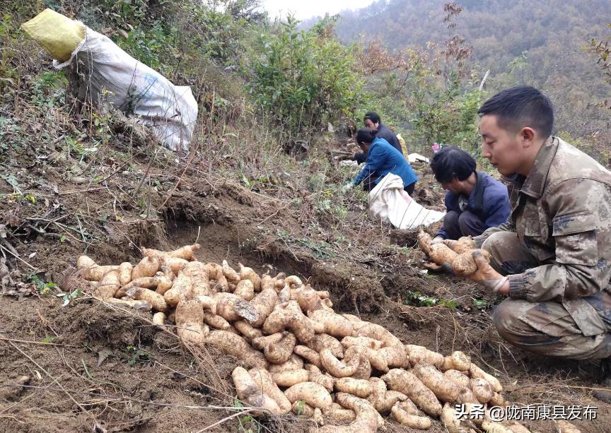 【身边榜样】(第4期)——三河坝镇县政协委员郭睿:乡村振兴路上的产业致富带头人