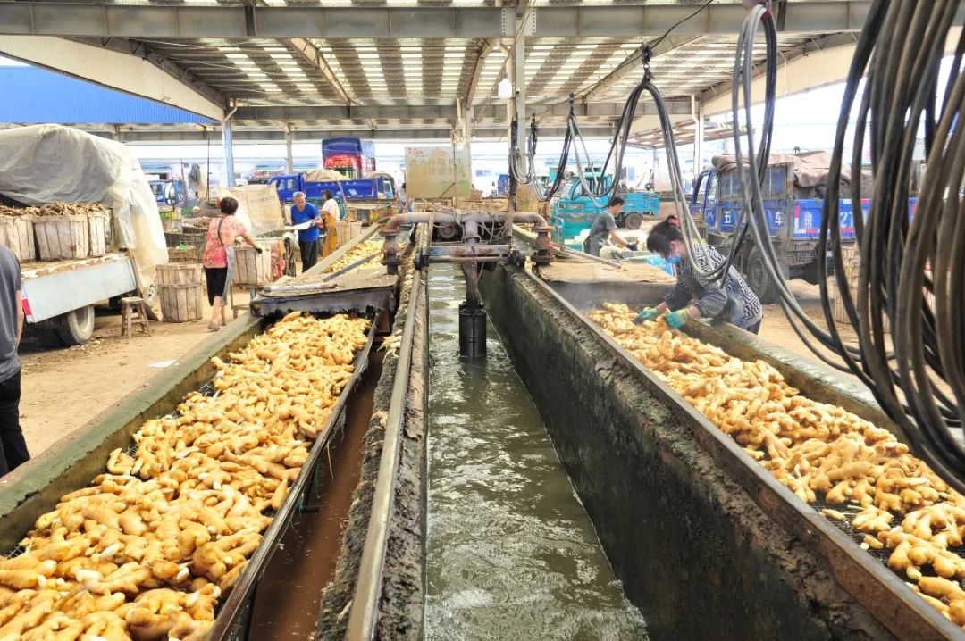 这才是潍坊,好品山东潍坊篇