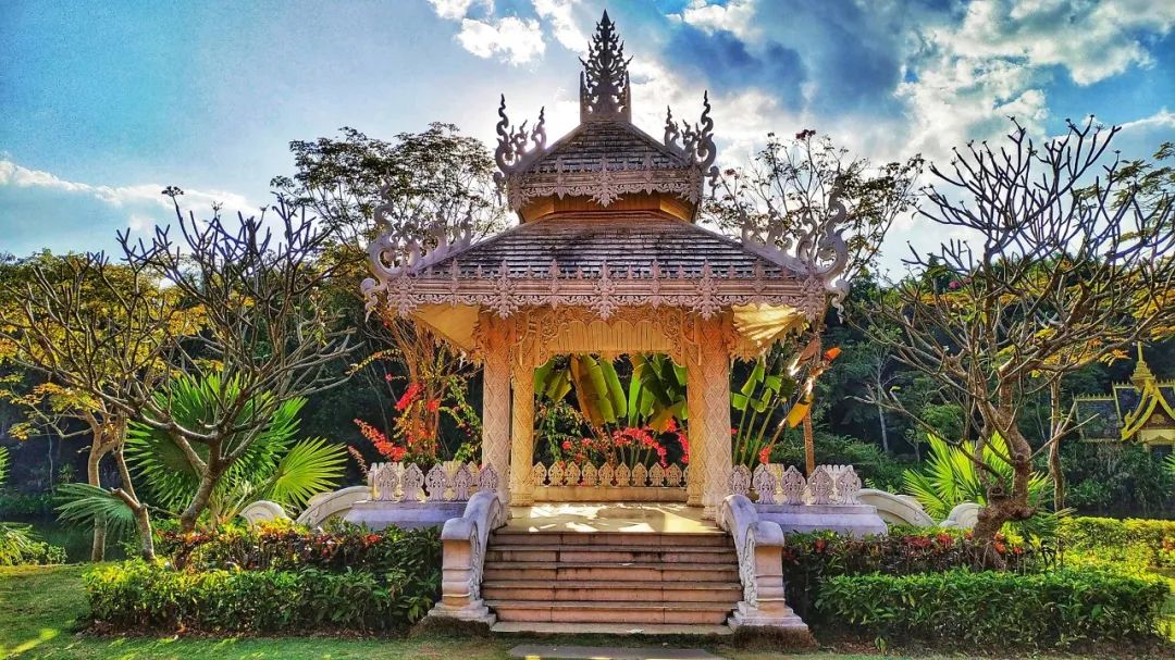 西双版纳体验雨林,吃遍热带水果西双版纳