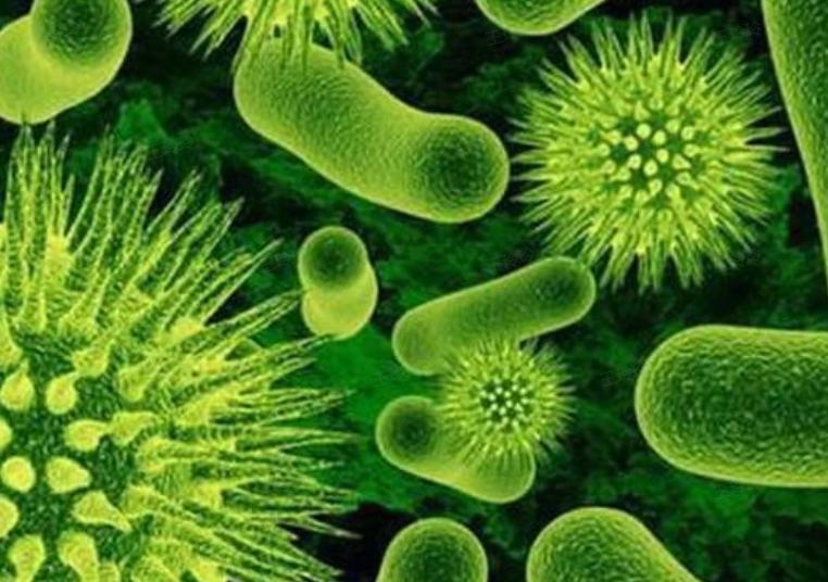 内衣裤穿一天到底有多脏,穿一天的裤子后边有异味