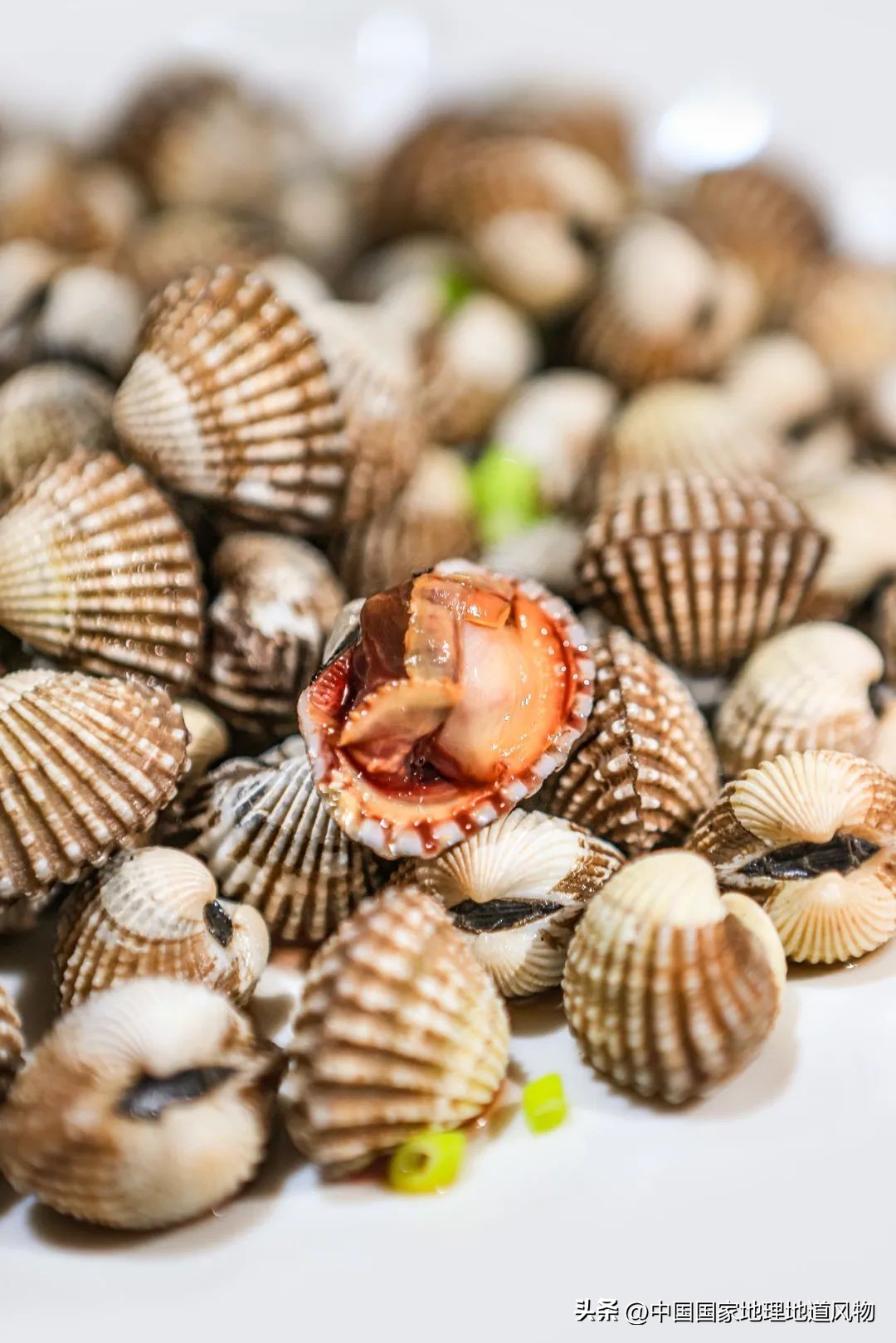 现在的海鲜什么比较好吃,中国哪的海鲜比较好