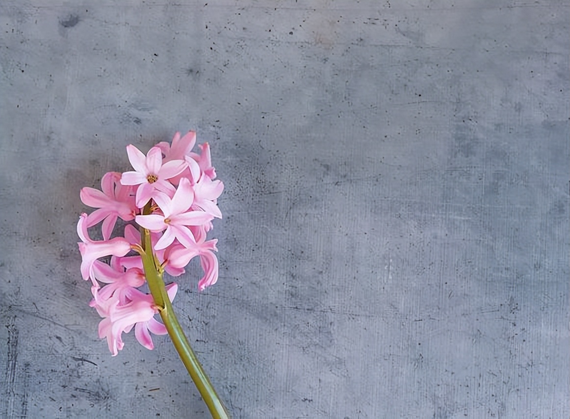 没有爱情的婚姻就别浪费生命,没有爱情的婚姻怎么继续下去