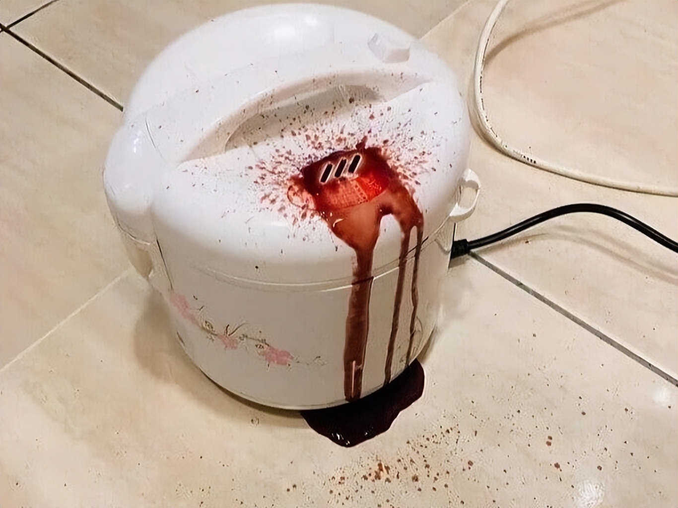 有没有人觉得猫头鹰长得很可怕,猫头鹰真正的照片