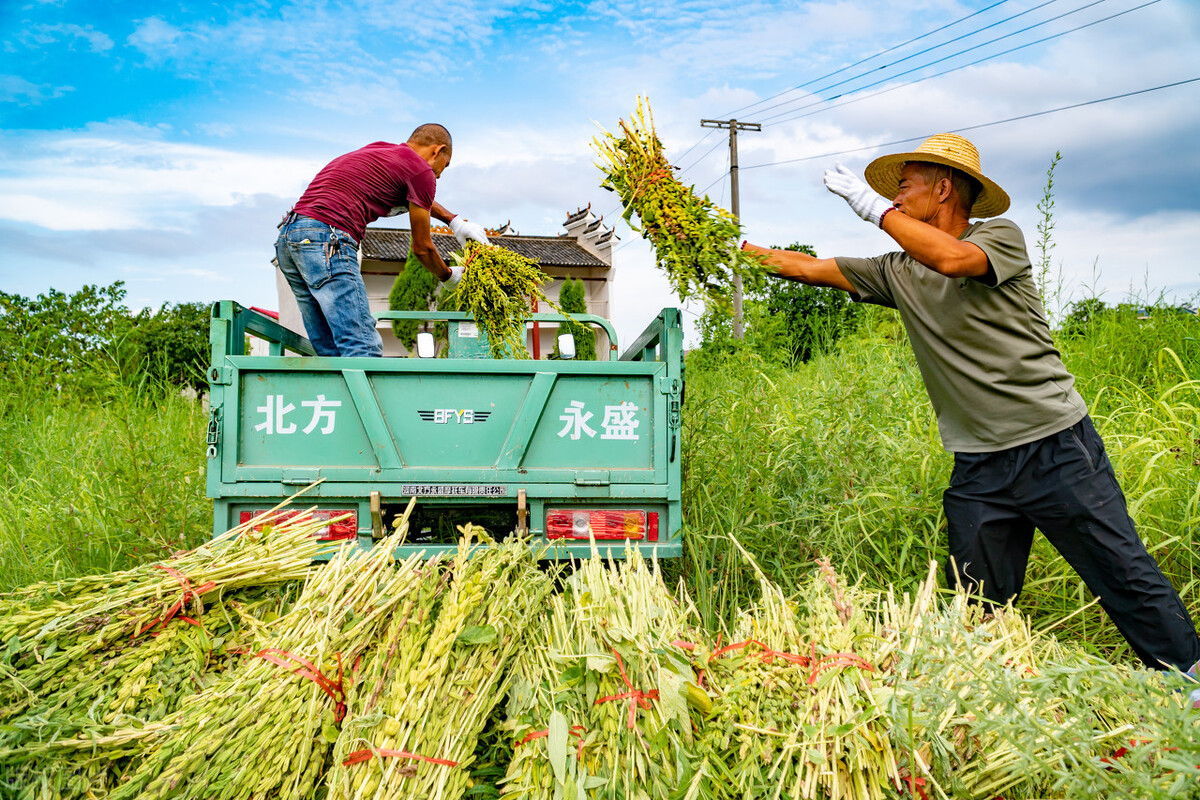 多地鼓励农民进城买房见效吗,多地鼓励农民进城买房吗