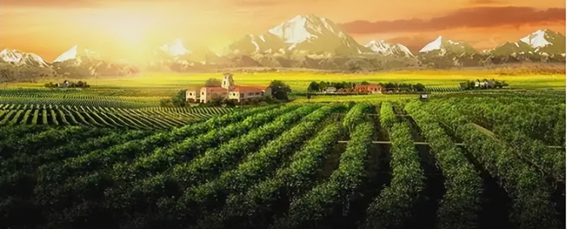 波尔多五大酒庄传奇书,波尔多五大酒庄排名榜