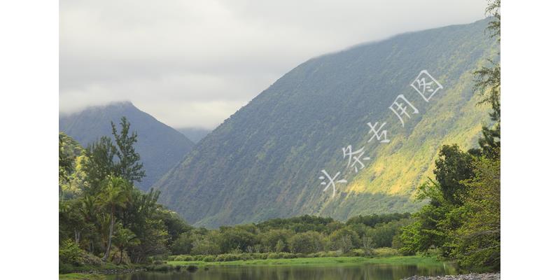 女子怀孕四个月吃煎蛋被赶出家门,女子怀孕因一个鸡蛋被抛弃完整版