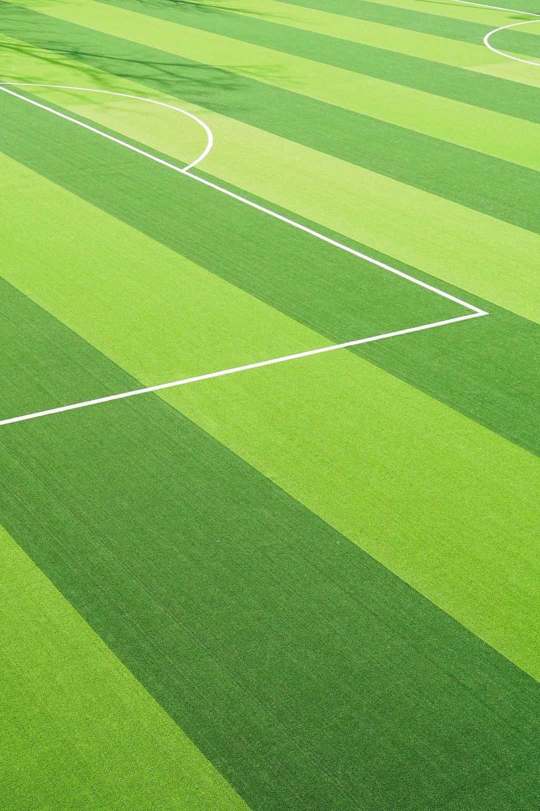 最新足球场改造消息,足球场升级改造