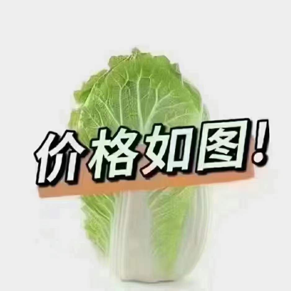 海运家具到加拿大如何包装,国内海运家具到加拿大