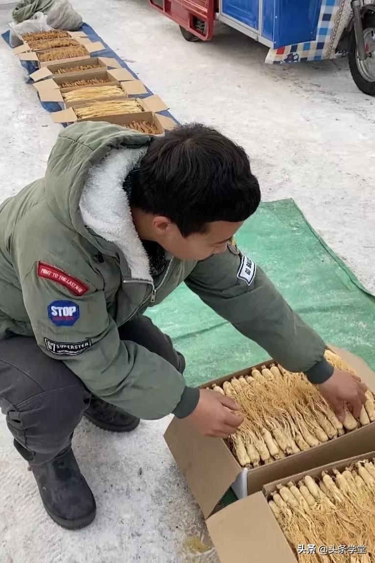 头条学堂免费学习,头条学堂讲师预备培训班